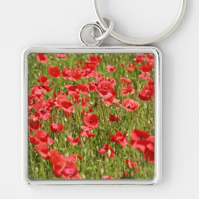 Poppy fält - häpnadsväckande! fyrkantig silverfärgad nyckelring (Framsidan)