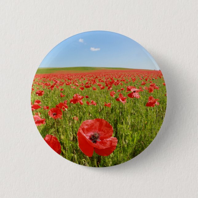 Poppy fält - häpnadsväckande! knapp (Framsida)