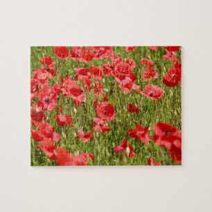 Poppy fält - häpnadsväckande! pussel