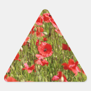 Poppy fält - häpnadsväckande! triangelformat klistermärke