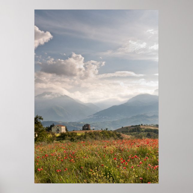 Poppy fält i Italien Poster (Framsidan)