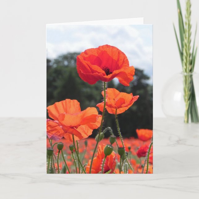Poppy Fält i röda nyanser Kort (Framsida)