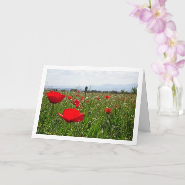Poppy Fält liggande kort (Orkide)