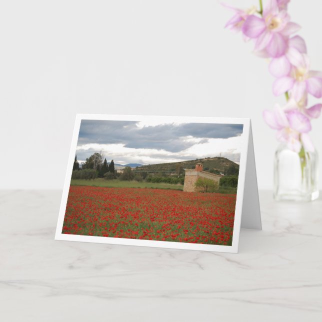 Poppy Fält liggande kort (Orkide)
