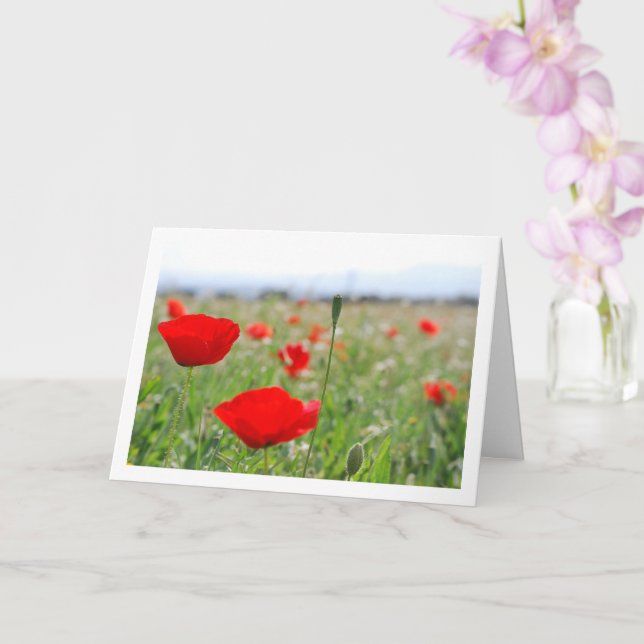 Poppy Fält liggande kort (Orkide)