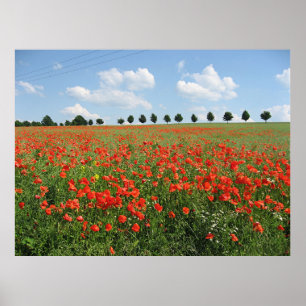 Poppy Fält Poster