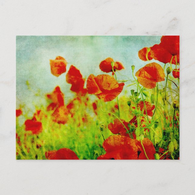 Poppy Fält vykort (Framsida)