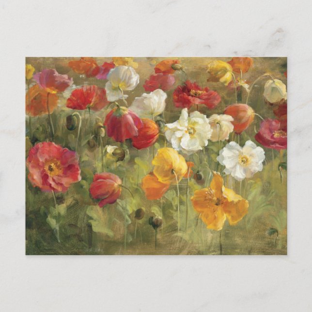 Poppy Fält Vykort (Framsida)