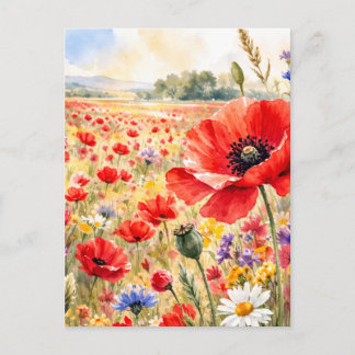 Poppy Field - Watercolour Poppy Vykort