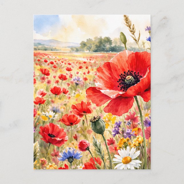 Poppy Field - Watercolour Poppy Vykort (Framsida)