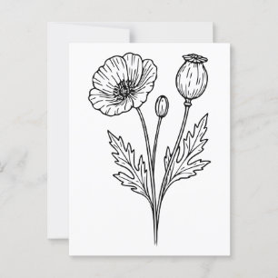 Poppy Flower Botanical Bloom Line Art Vykort