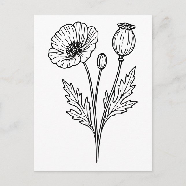 Poppy Flower Botanical Bloom Line Art Vykort (Framsida)
