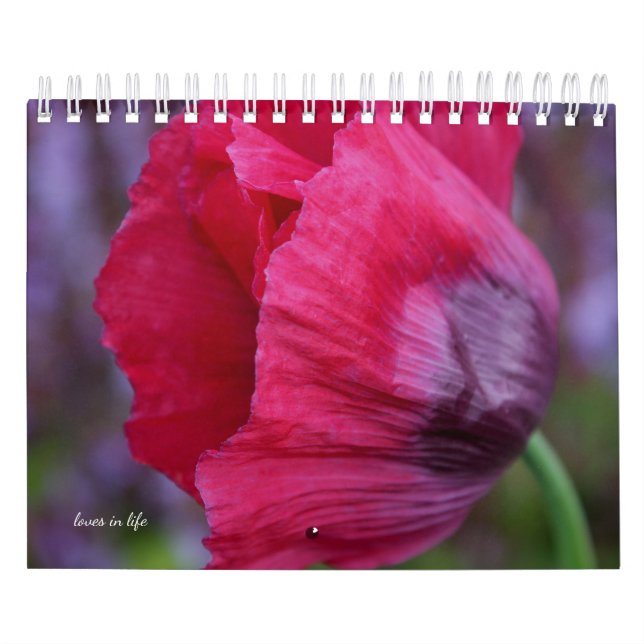 Poppy Flower Kalender (Omslag)