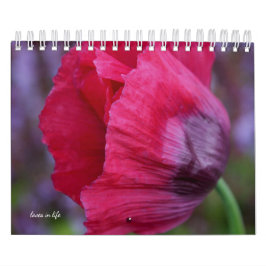 Poppy Flower Kalender