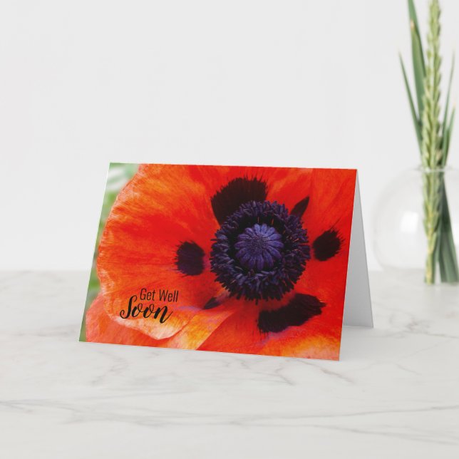 Poppy Flower kommer snart Kort (Framsida)