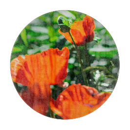 Poppy Flowers av stylized Garden Red Orange