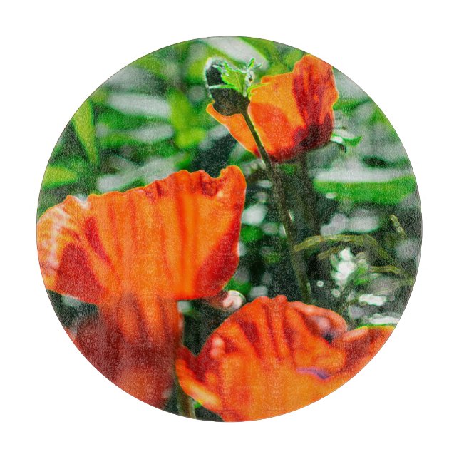 Poppy Flowers av stylized Garden Red Orange (Framsidan)