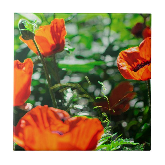 Poppy Flowers av stylized Garden Red Orange Kakelplatta (Framsidan)