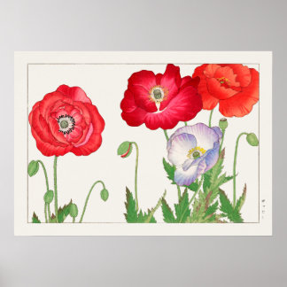 Poppy Flowers, Red and Lila, av Tanigami Konan. Poster