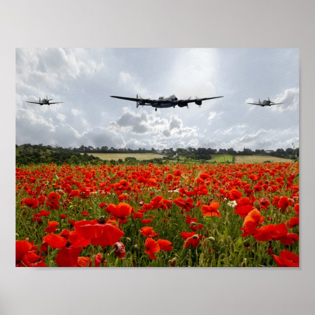Poppy Flyförflutet Poster (Framsidan)