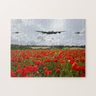 Poppy Flyförflutet Pussel