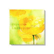 Poppy för Express Gratitude Orange