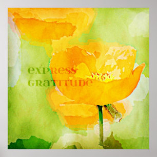 Poppy för Express Gratitude Orange Poster