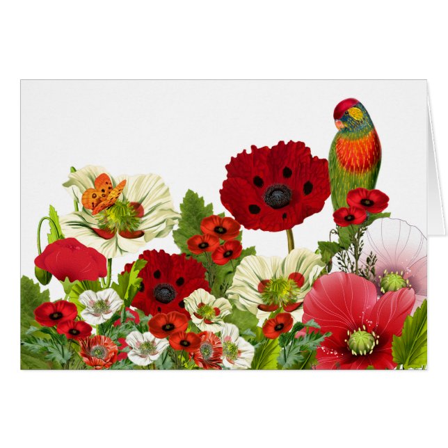 Poppy Garden med Lorikeet Parrot Blank OBS Kort (Framsidan Horizontal)
