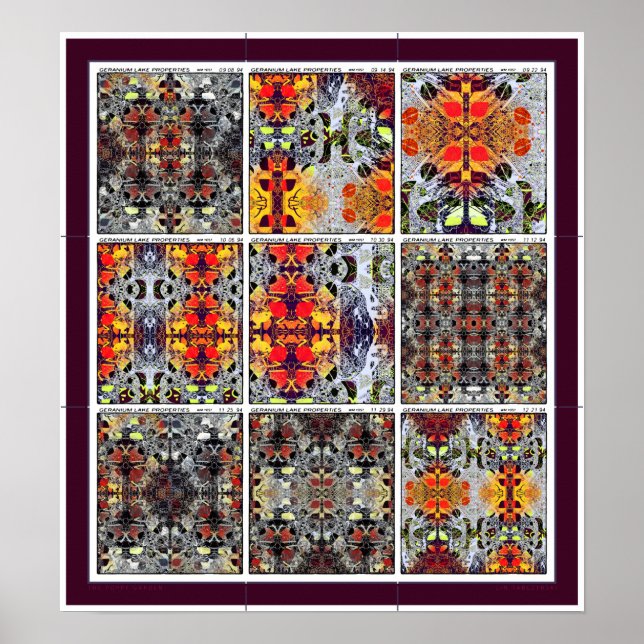 Poppy Garden Poster (Framsidan)