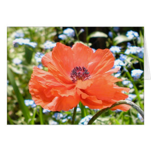 Poppy Hälsningskort