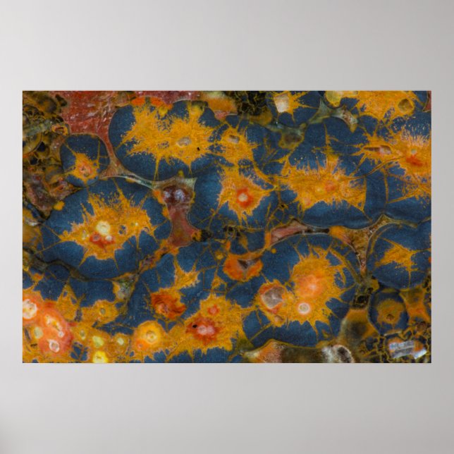 Poppy Jasper Poster (Framsidan)