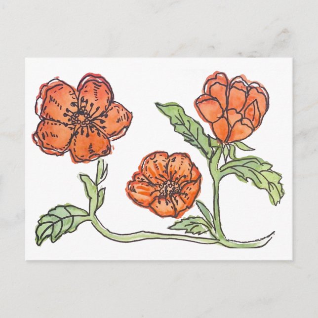 Poppy-kort Vykort (Framsida)