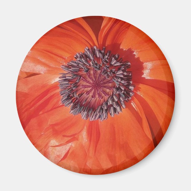 Poppy Magnet (Framsidan)