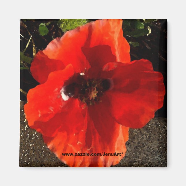 Poppy Magnet (Framsidan)