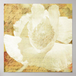 Poppy Marie Poster