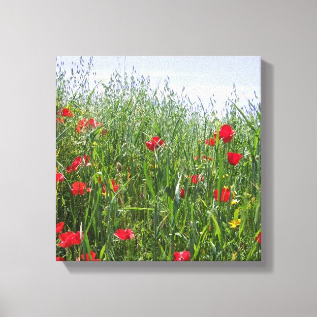 Poppy Meadow Canvas (Framsida)