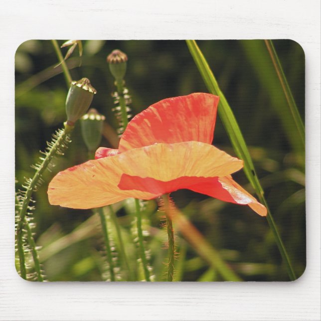 Poppy Mousepad Musmatta (Framsidan)