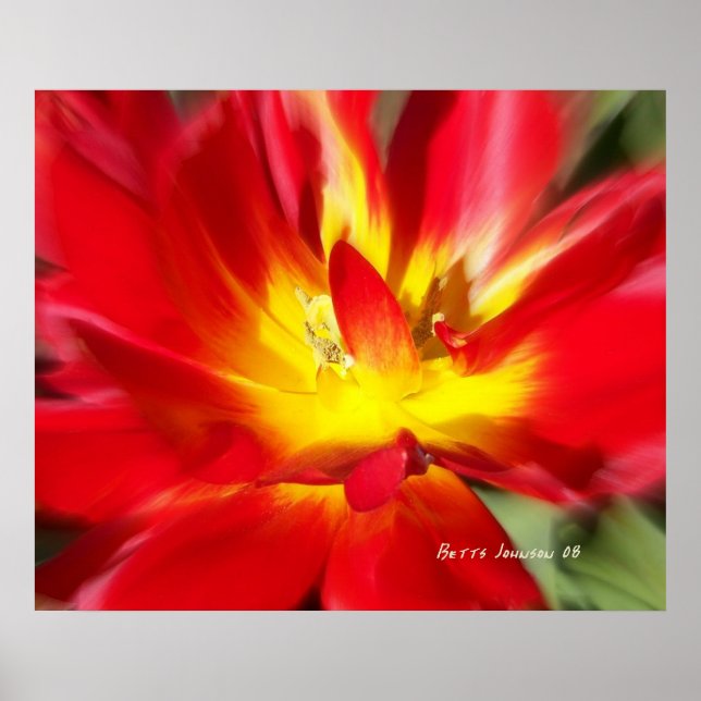 Poppy on Fire! Poster (Framsidan)