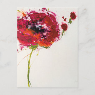 Poppy on White Vykort