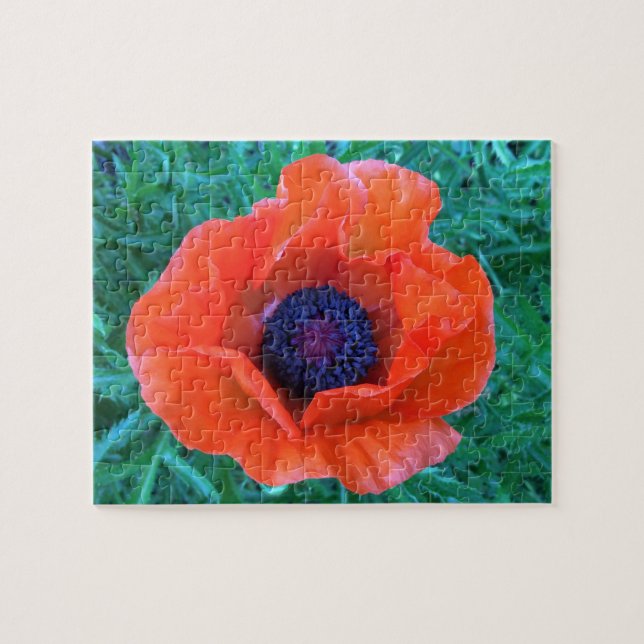 POPPY Oriental Red Orange — Pussel (Horisontell)
