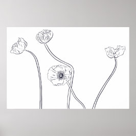 Poppy Outline Poster