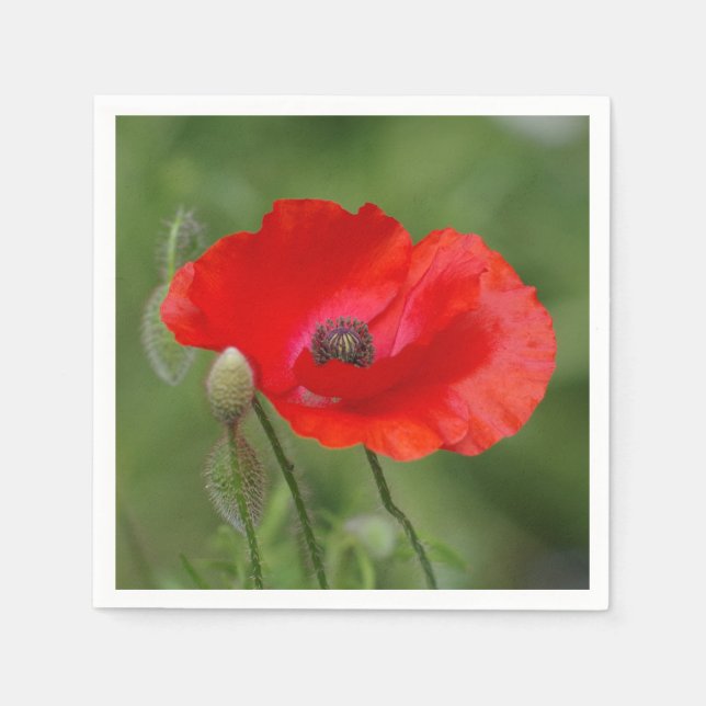 Poppy Papper Napkins Pappersservett (Framsidan)