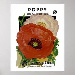 Poppy Poster