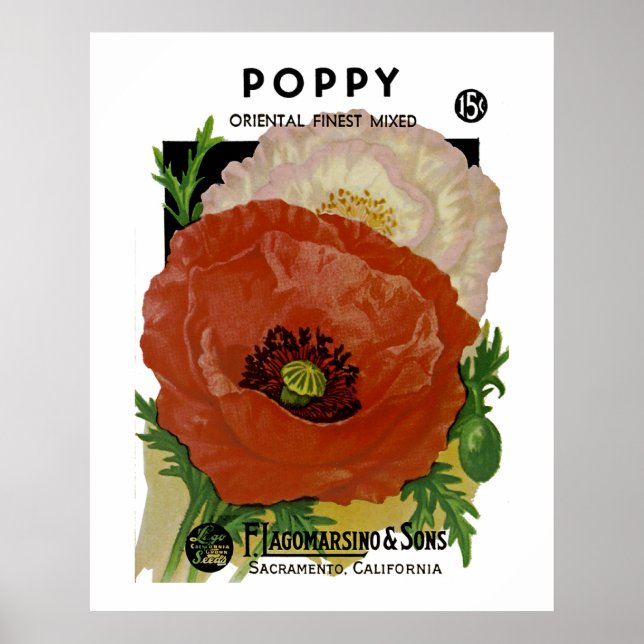 Poppy Poster (Framsidan)