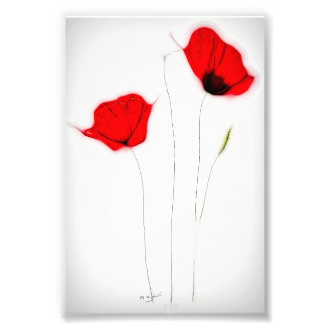 POPPY POSTER (Framsidan)