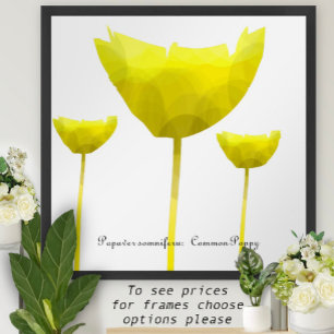 Poppy Print Poster