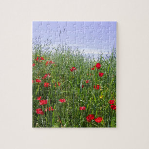 Poppy Puzzle Pussel