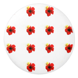 POPPY RED FLOWER MÖNSTER KNOPP