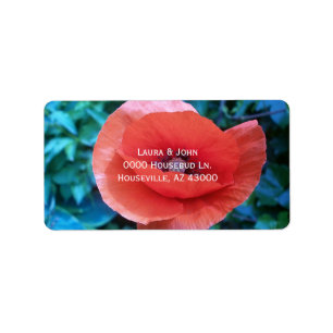 Poppy. Röd blomma. Adressetikett