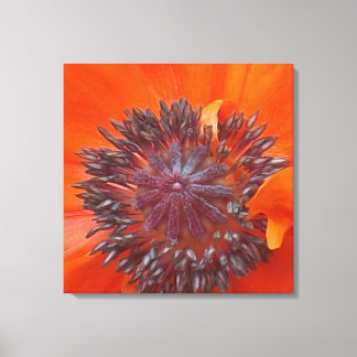 Poppy Seeds Canvastryck